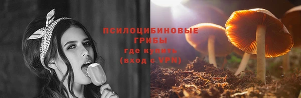 соль ск Дмитриев