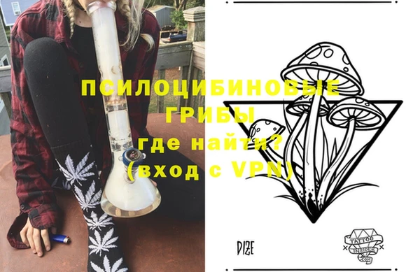 соль ск Дмитриев