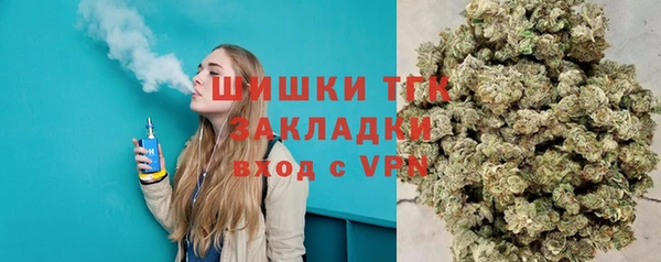 соль ск Дмитриев