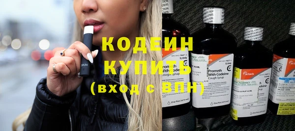 соль ск Дмитриев