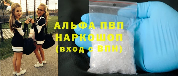 соль ск Дмитриев